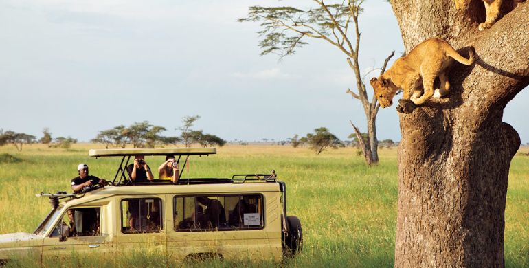 Why Chobe Day Trip From Victoria Falls Is Africa’s Ultimate Short Safari