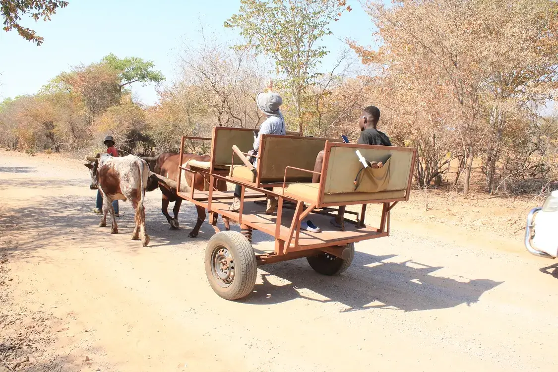 4days-zim-zam-cultural-experience (4) 4days-zim-zam-cultural-experience (4)