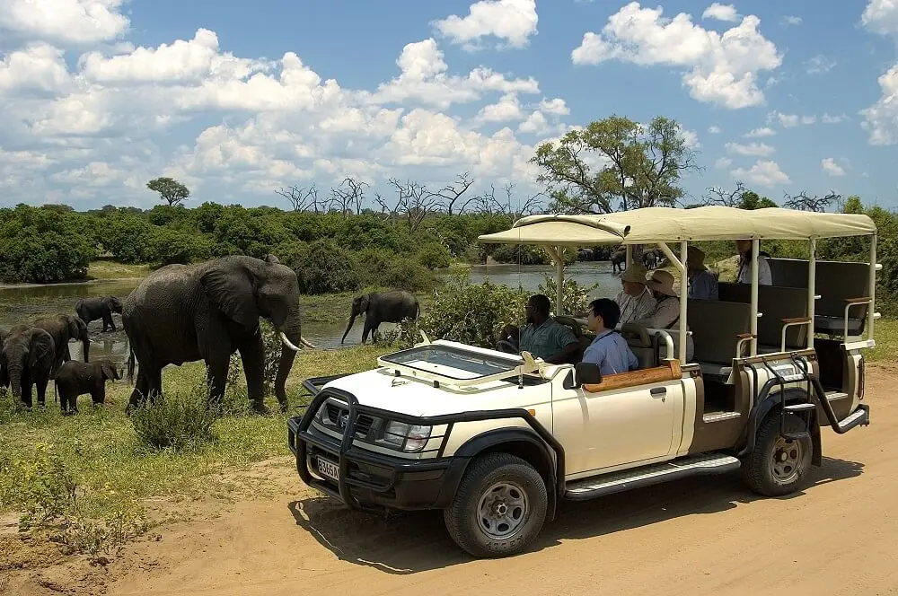 7days-vicfalls-hwange-chobe (15) 7days-vicfalls-hwange-chobe (15)