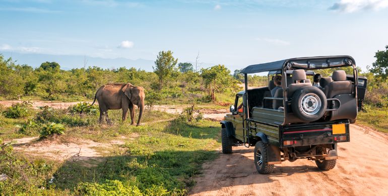 A perfect trip experience for every travel style and traveler