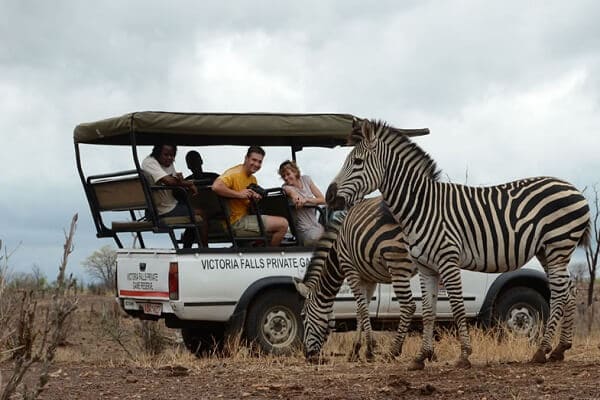 Safari in Victoria Falls: Thrilling Day Game Drive in Zambezi National Park