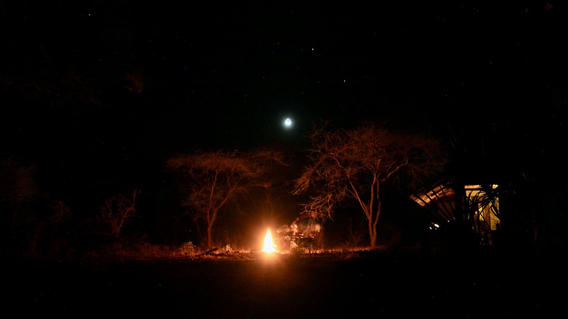 Night Game drive & Bush Dinner